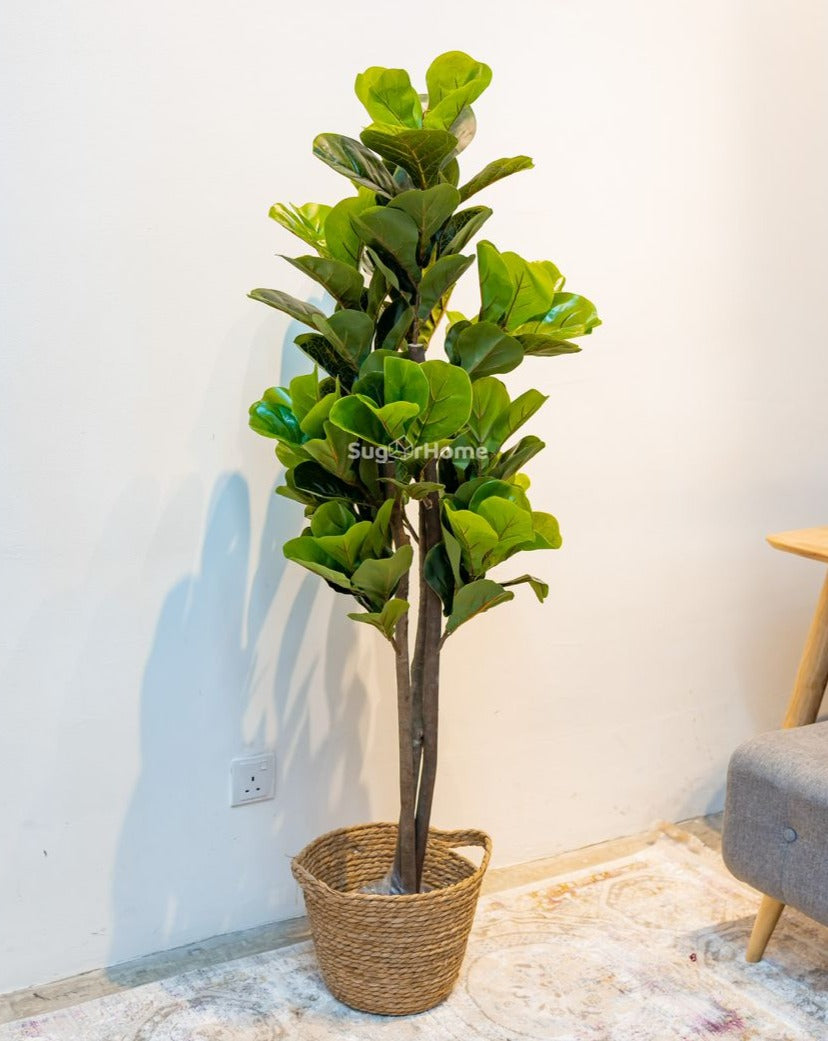 Fiddle Fig Artificial Plant