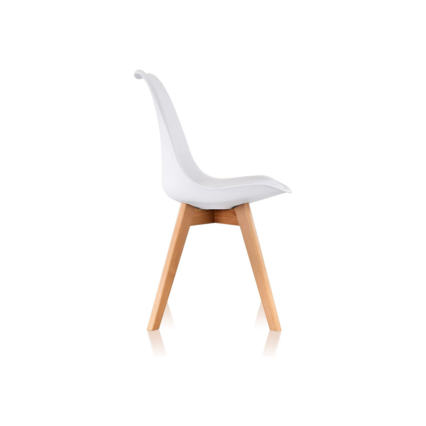 Modern Dining Chair