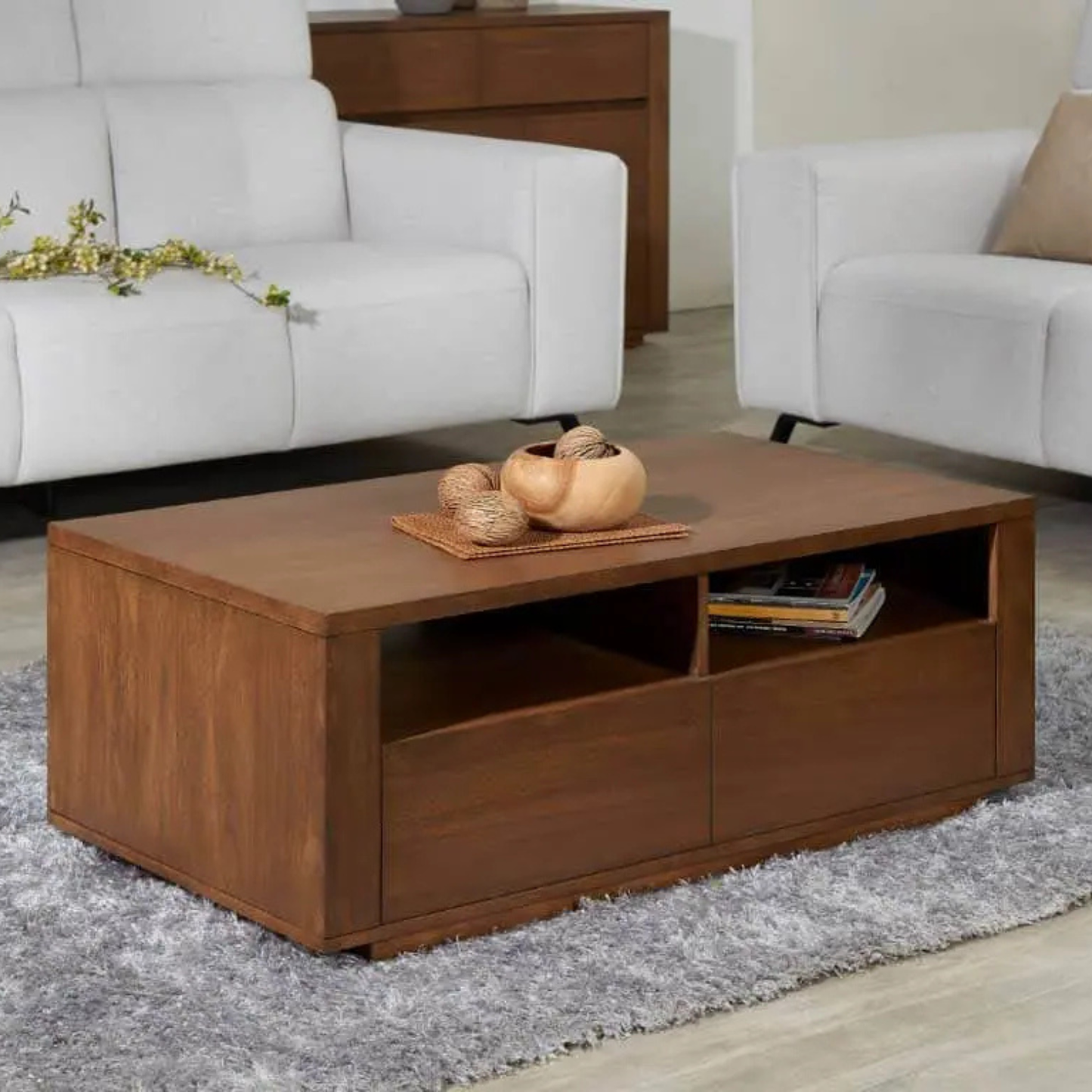 Budi Coffee Table